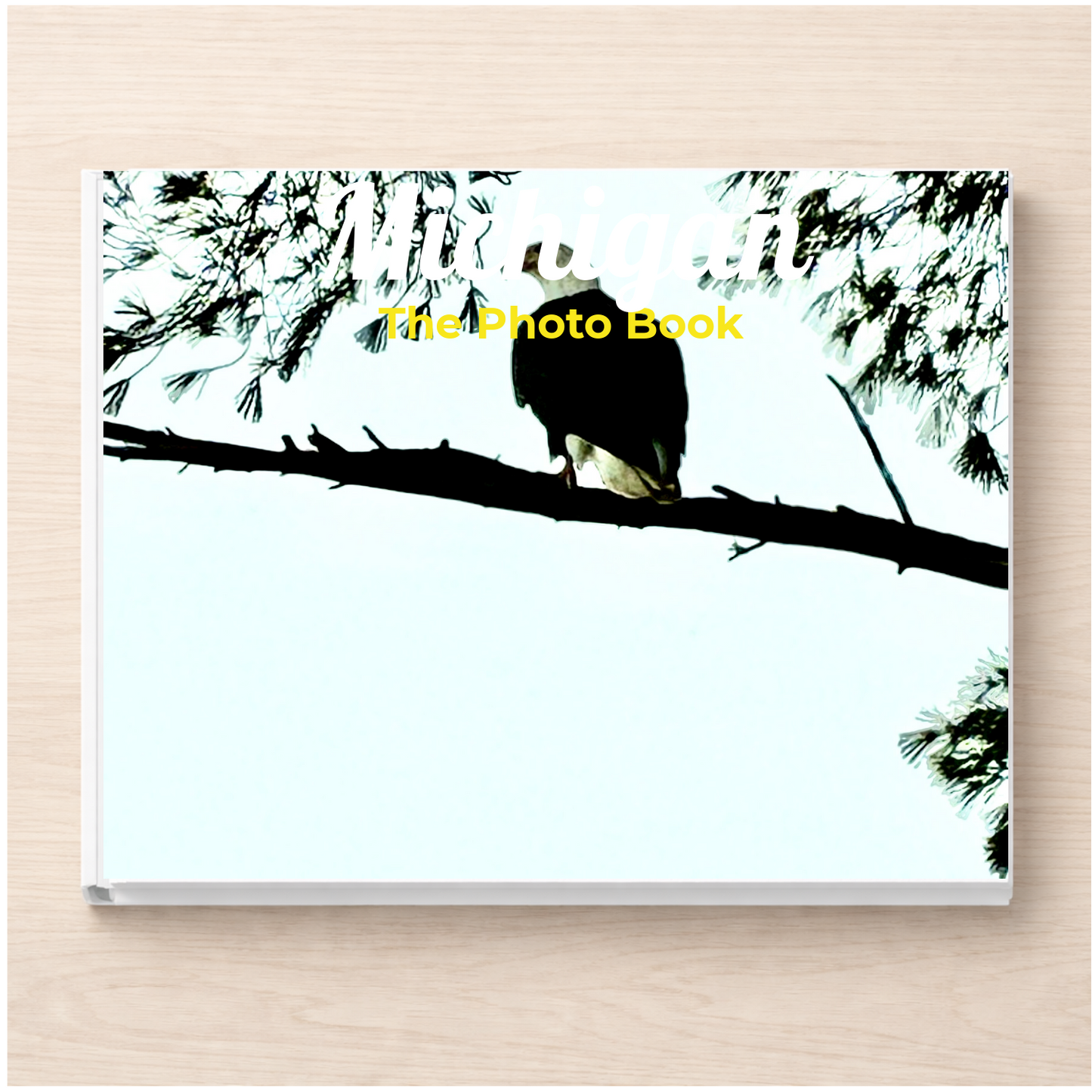 Michigan: The Photo Book