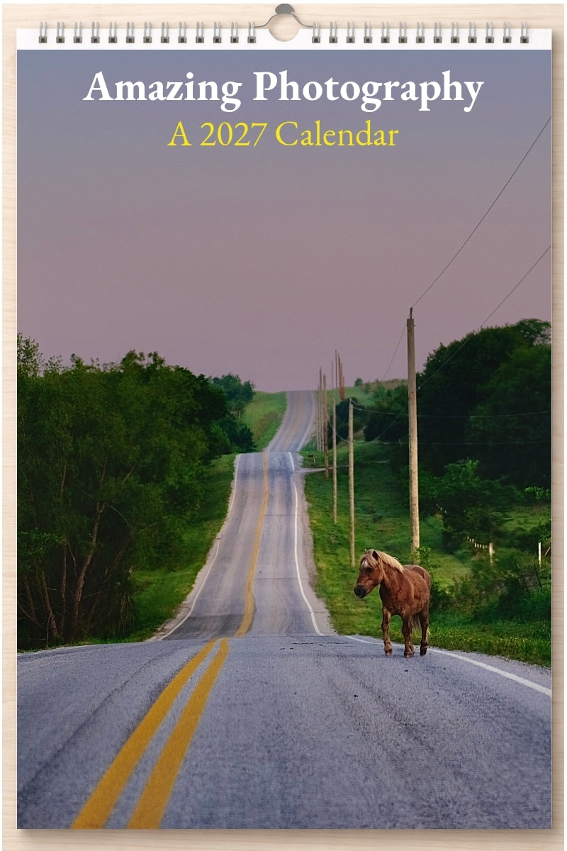 Amazing Photography: A 2027 Calendar
