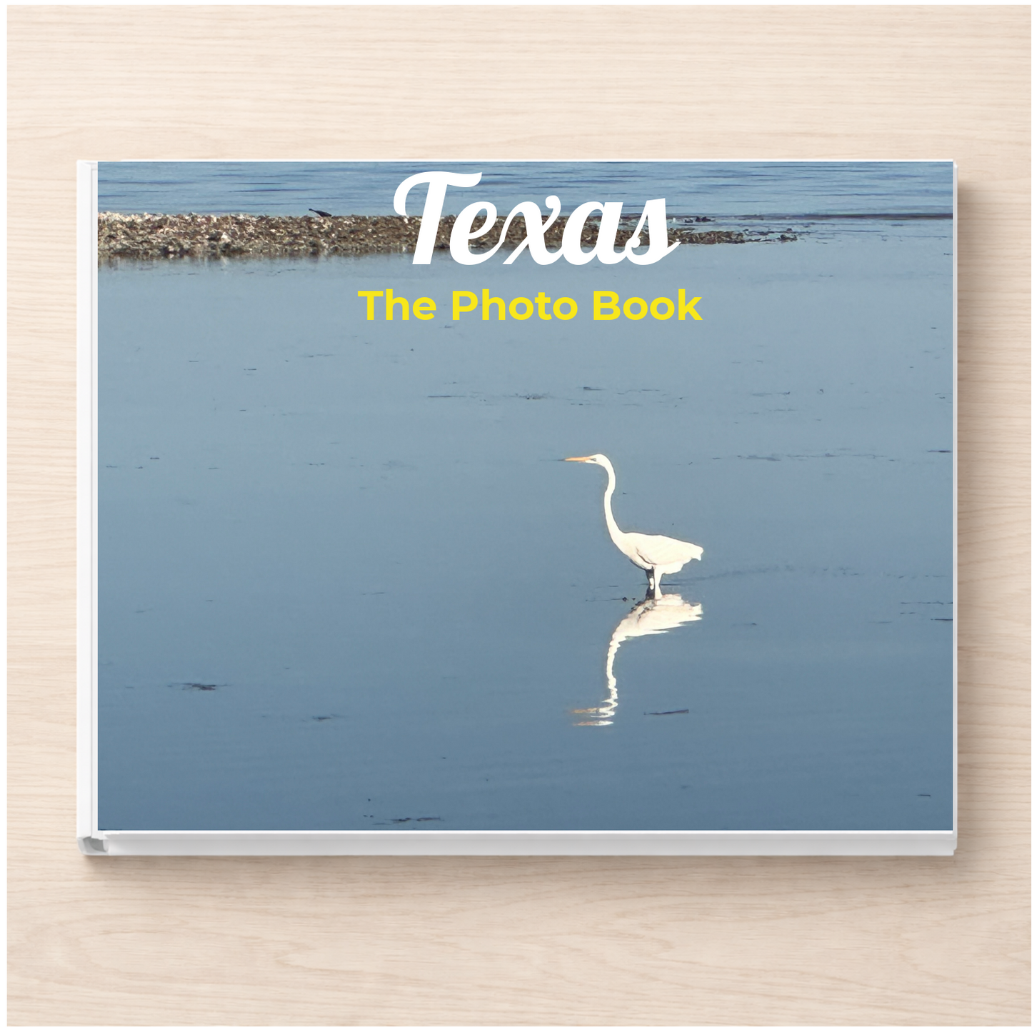 Texas: The Photo Book