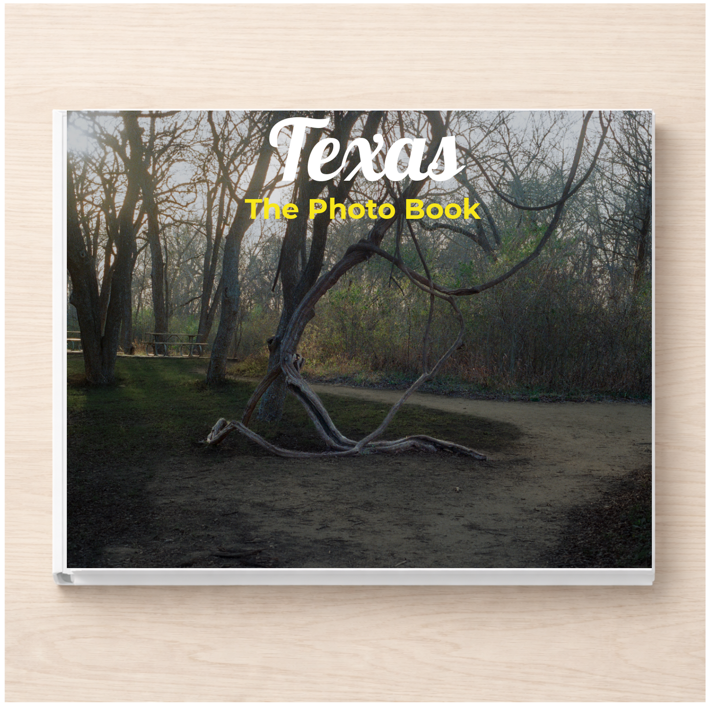 Texas: The Photo Book
