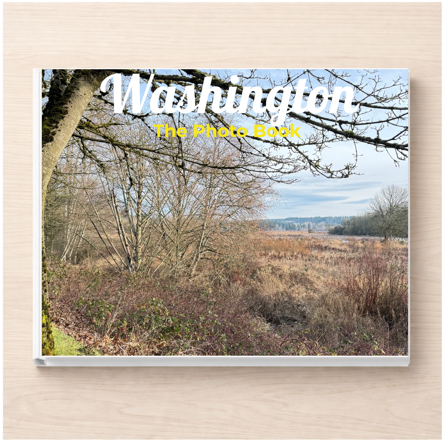 Washington: The Photo Book