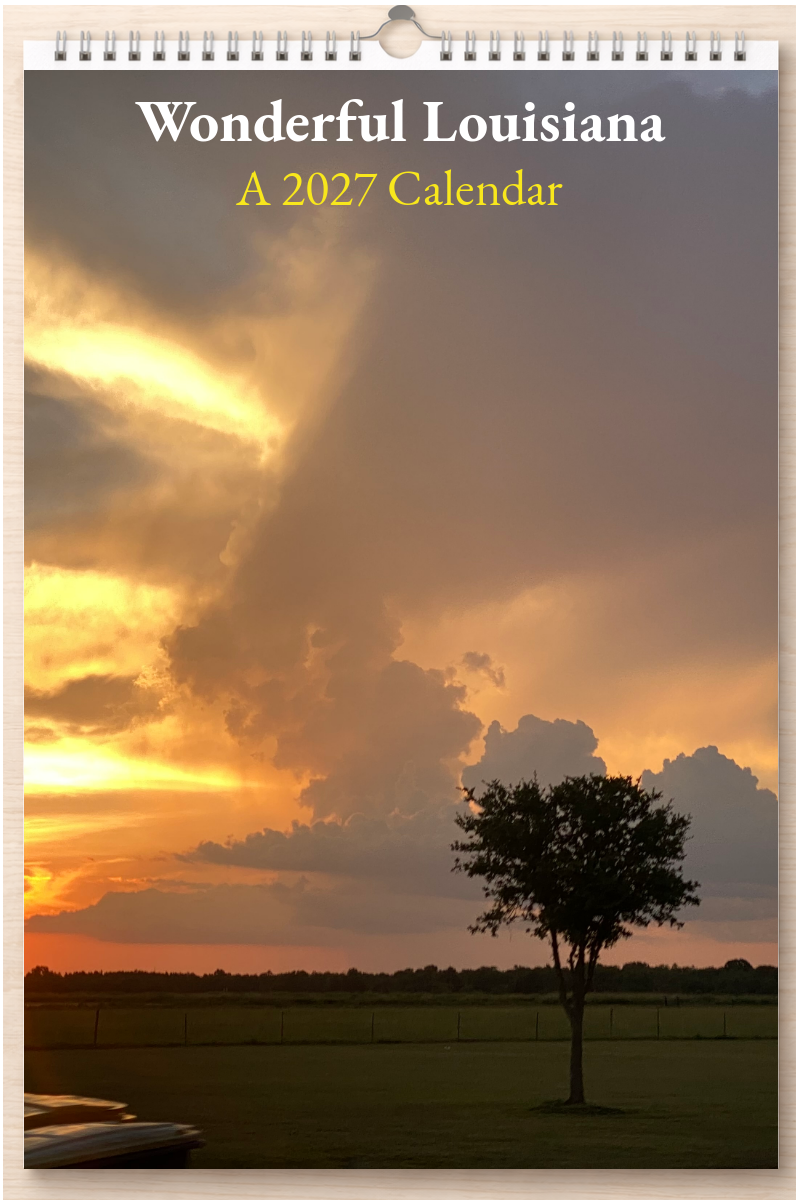 Wonderful Louisiana: A 2027 Calendar