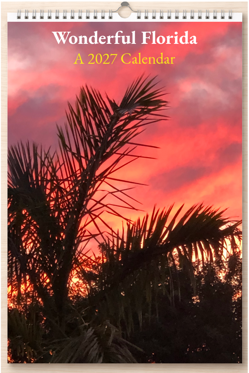Wonderful Florida: A 2027 Calendar