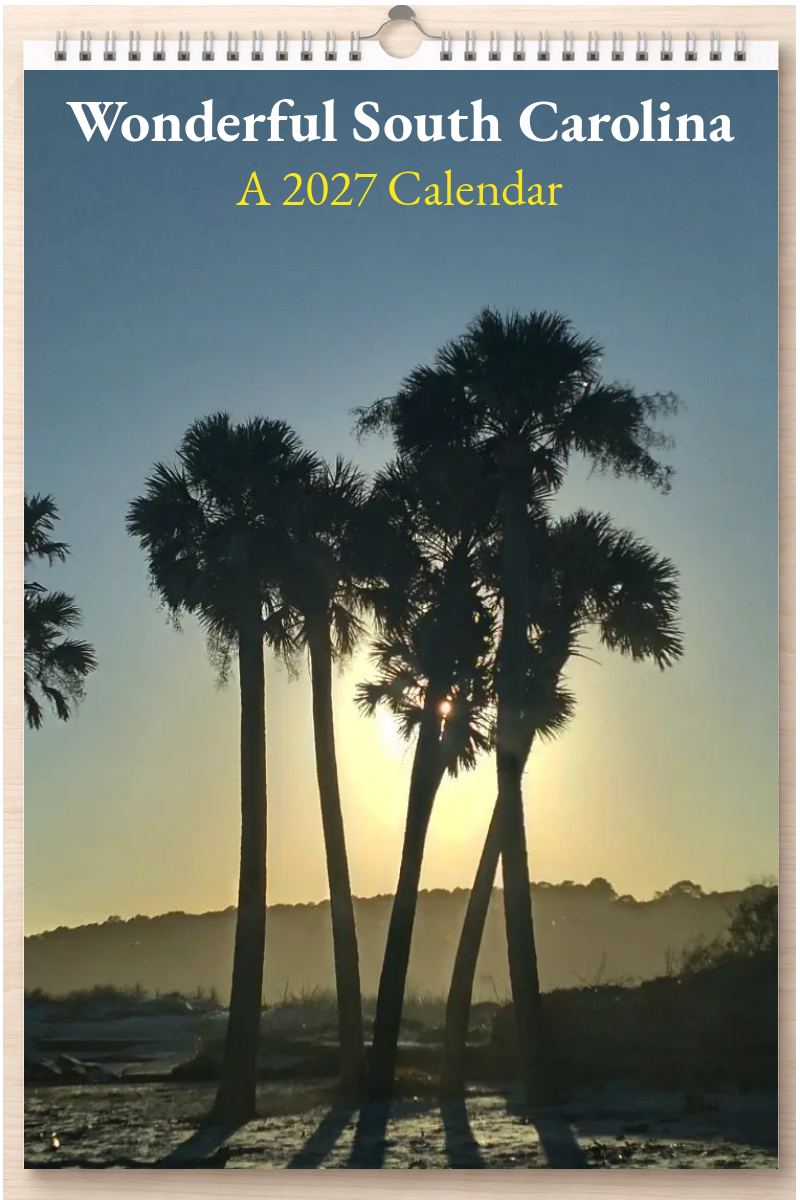 Wonderful South Carolina: A 2027 Calendar