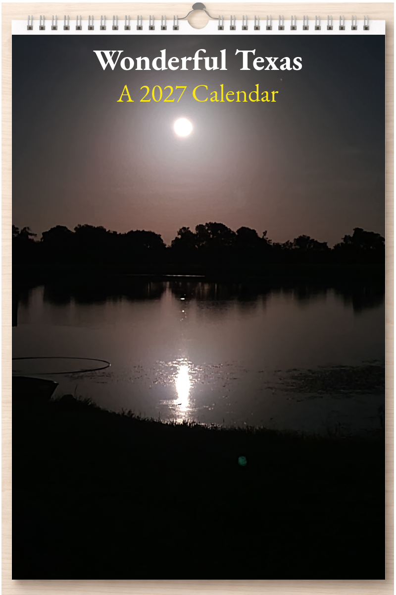 Wonderful Texas: A 2027 Calendar