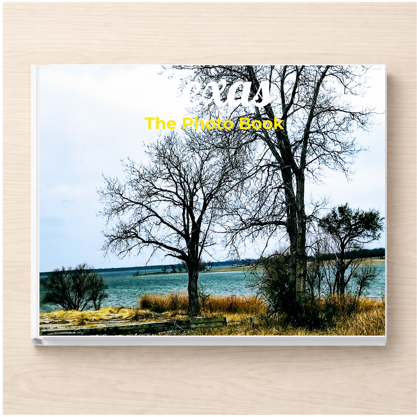 Texas: The Photo Book