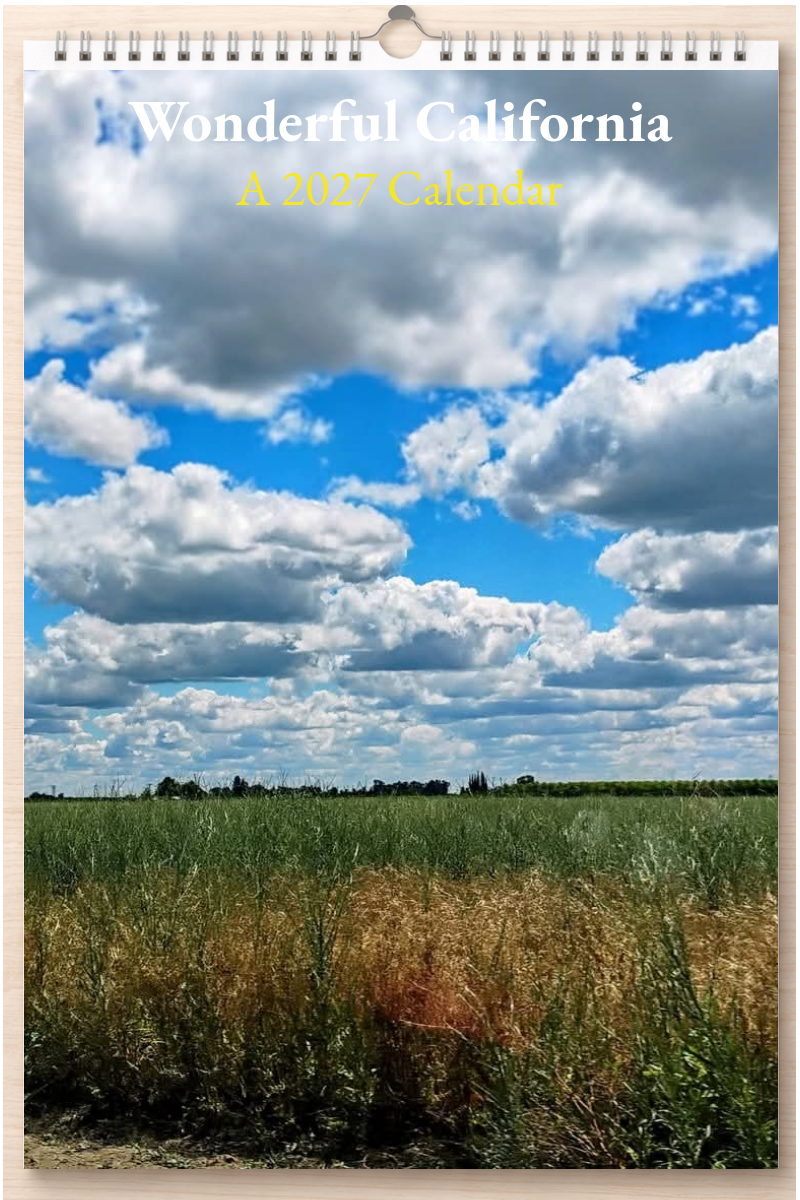 Wonderful California: A 2027 Calendar