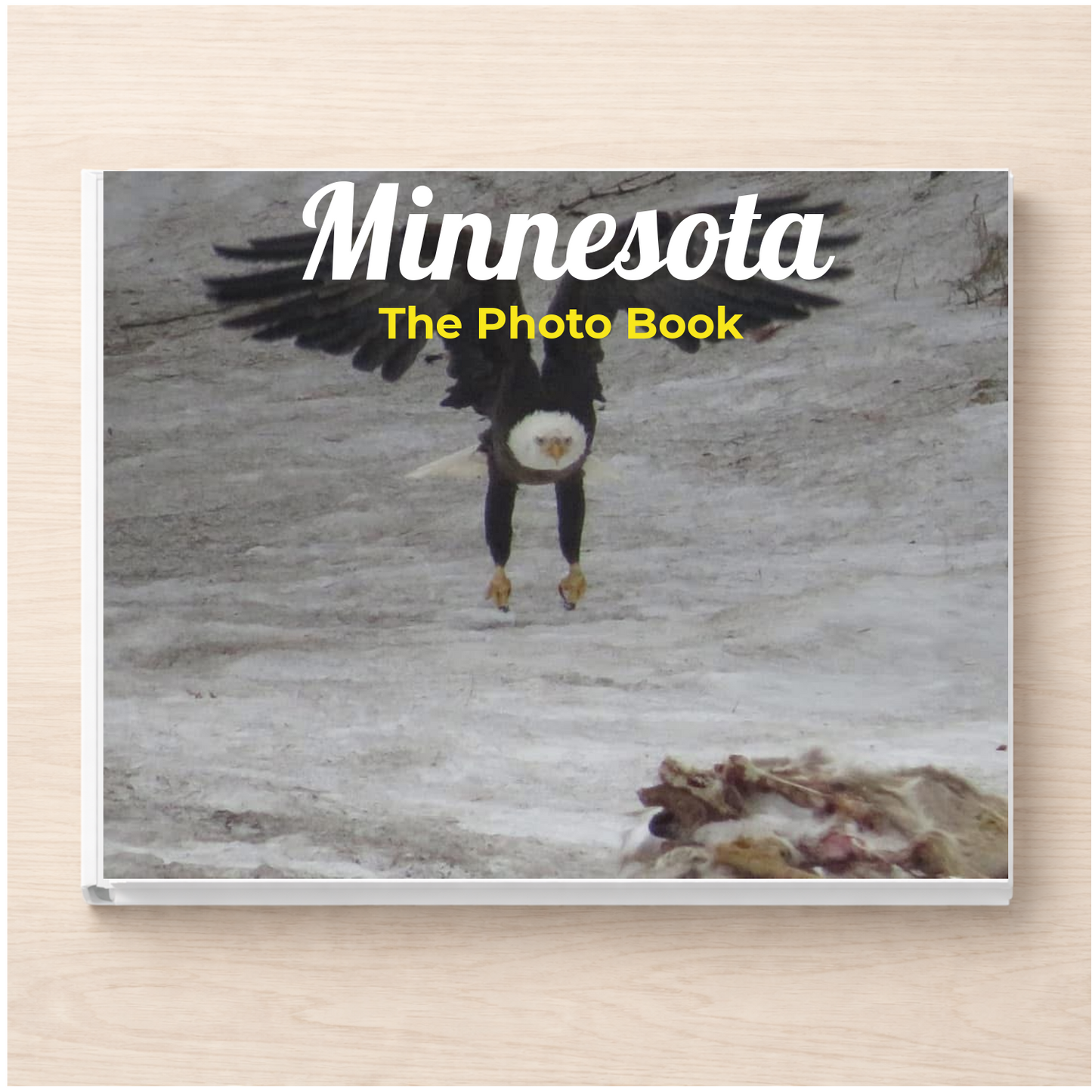 Minnesota: The Photo Book