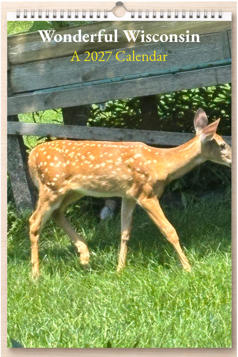 Wonderful Wisconsin: A 2027 Calendar