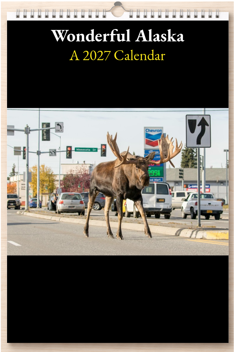 Wonderful Alaska: A 2027 Calendar