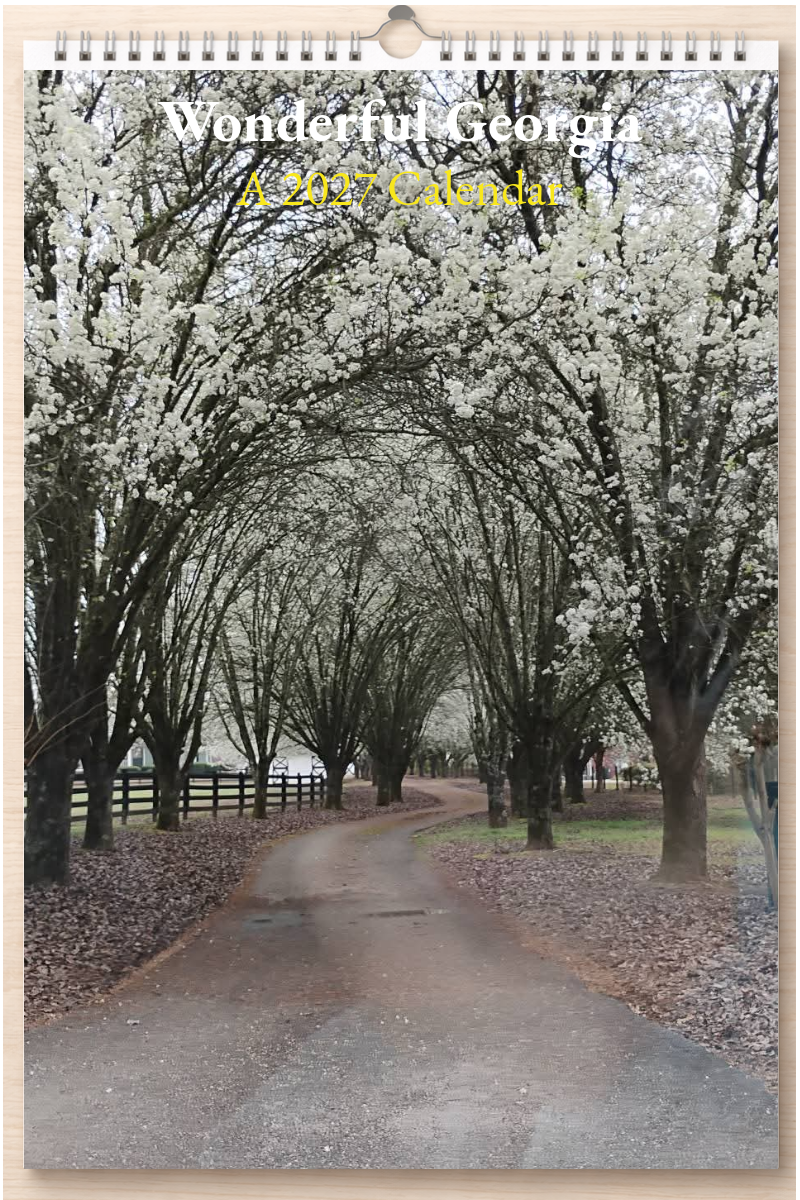 Wonderful Georgia: A 2027 Calendar