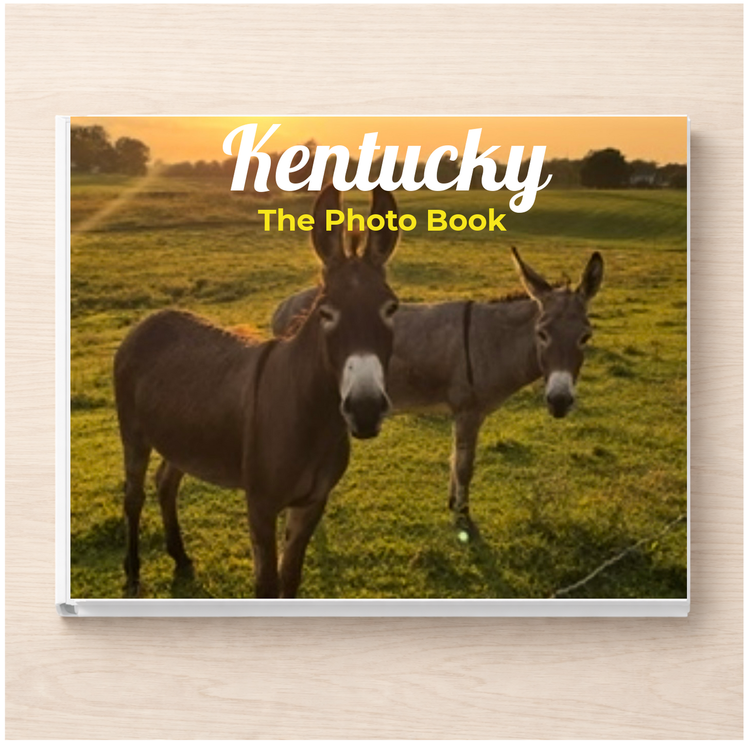Kentucky: The Photo Book