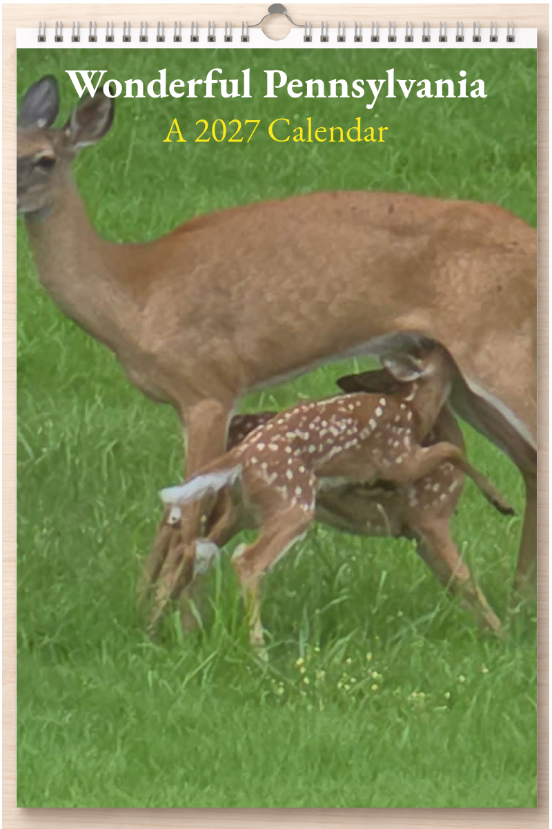 Wonderful Pennsylvania: A 2027 Calendar