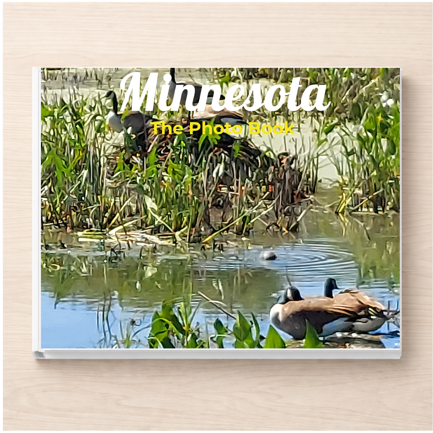 Minnesota: The Photo Book