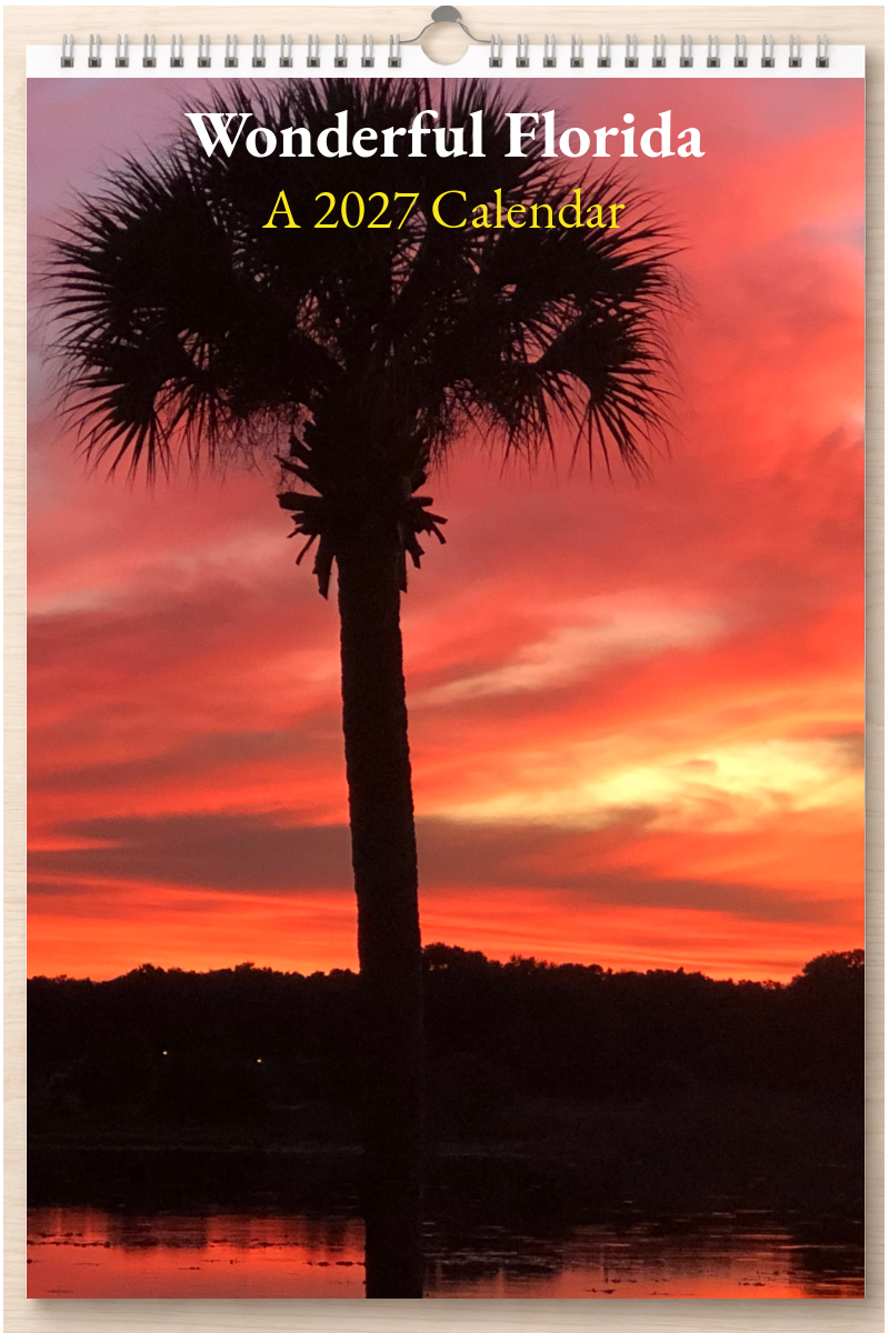 Wonderful Florida: A 2027 Calendar
