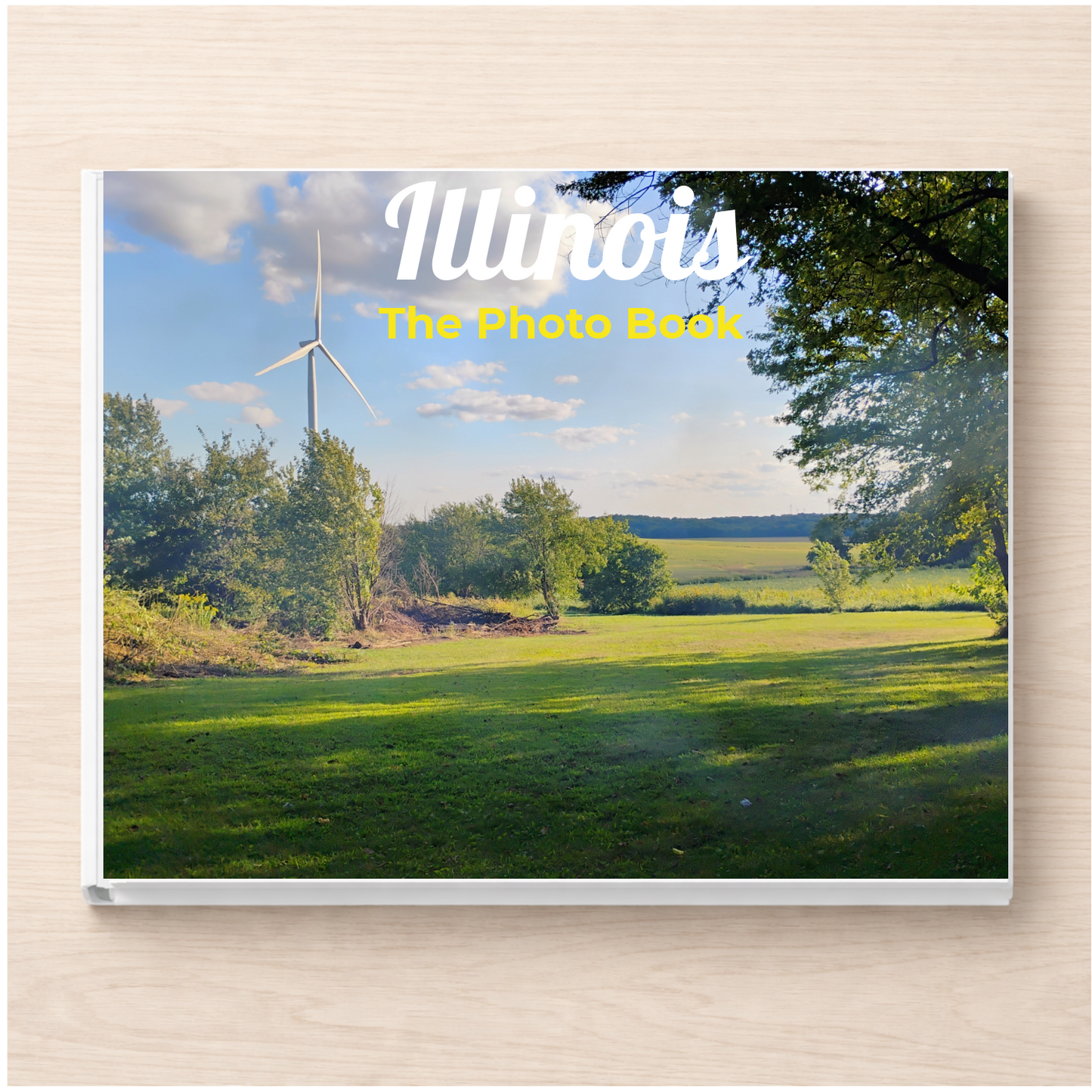Illinois: The Photo Book