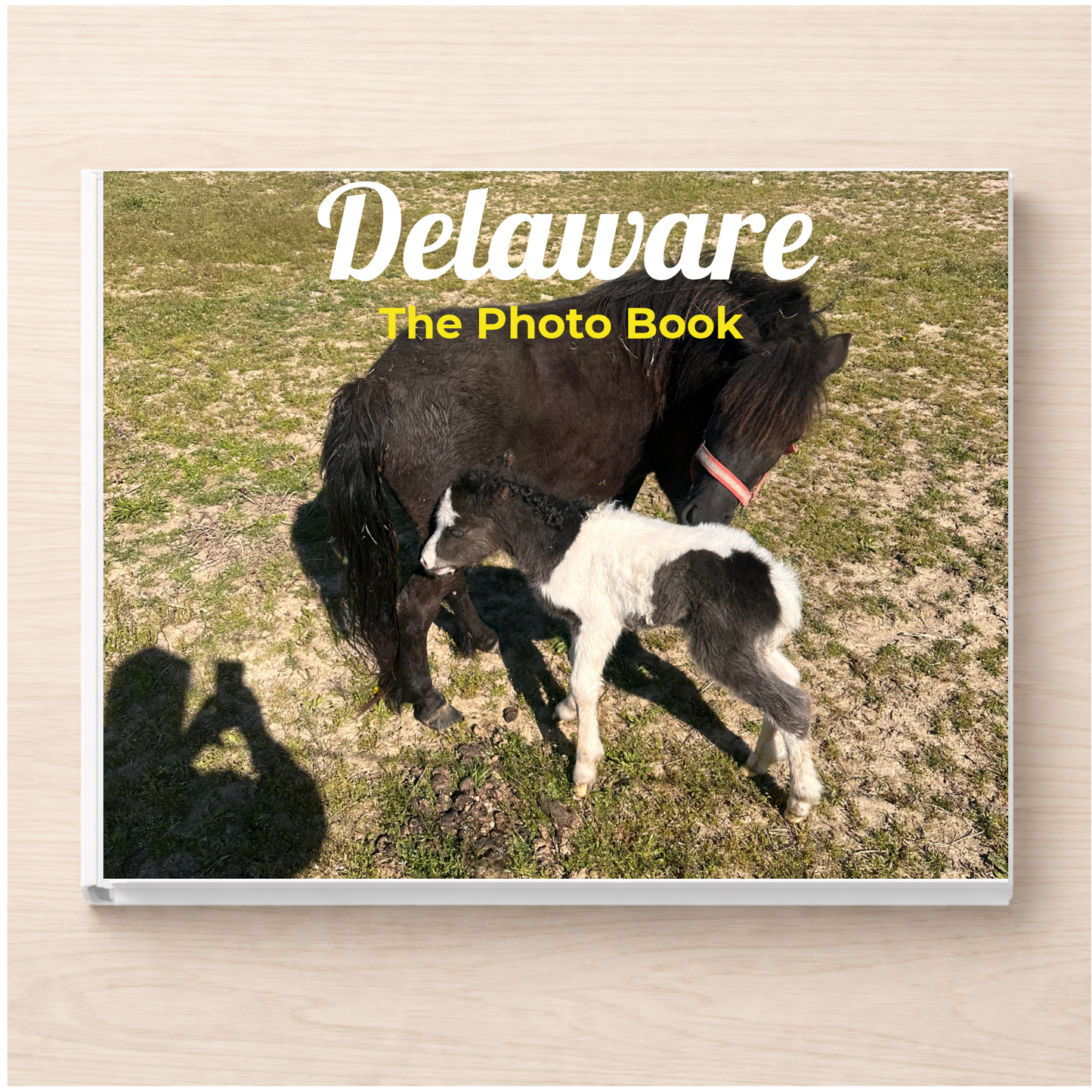 Delaware: The Photo Book