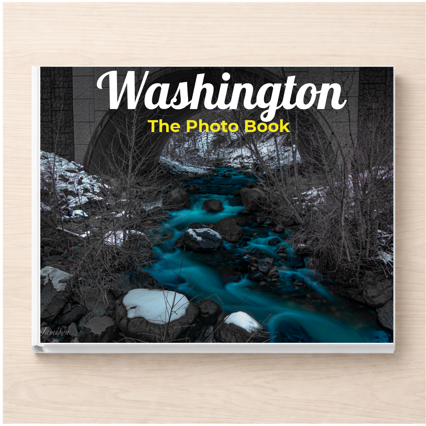 Washington: The Photo Book