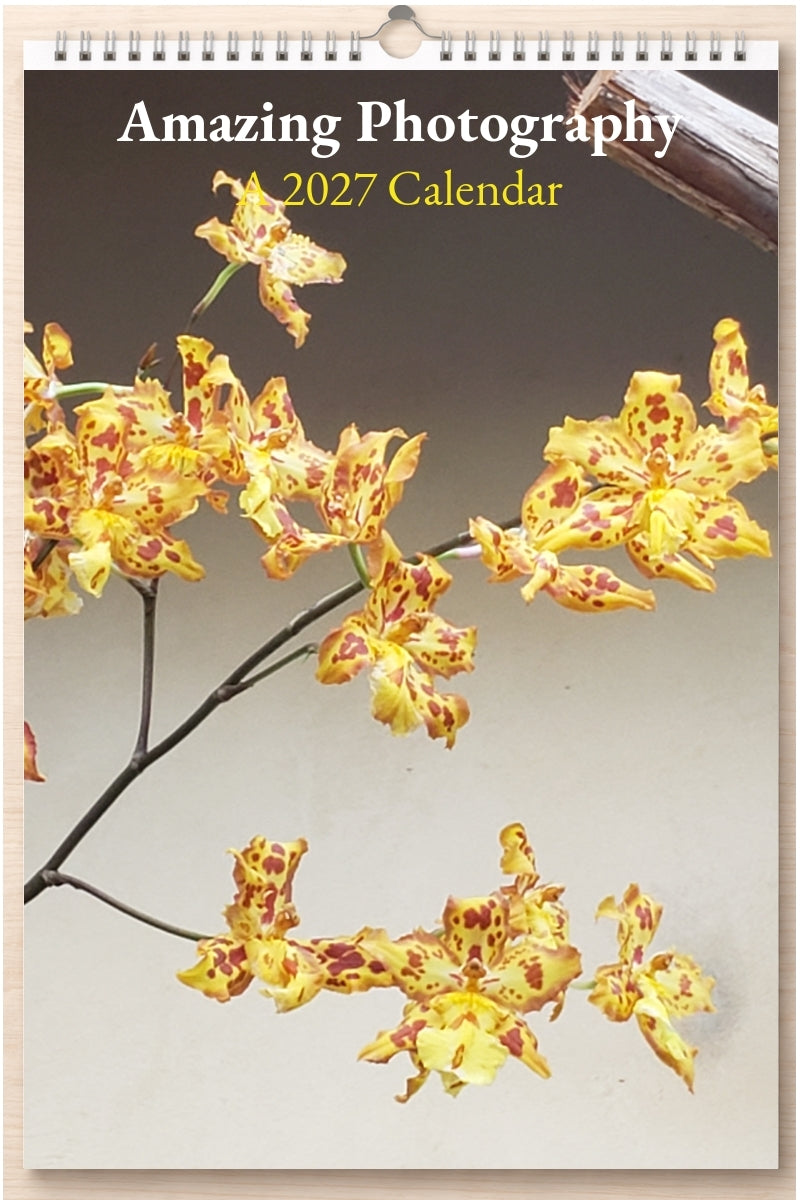 Amazing Photography: A 2027 Calendar