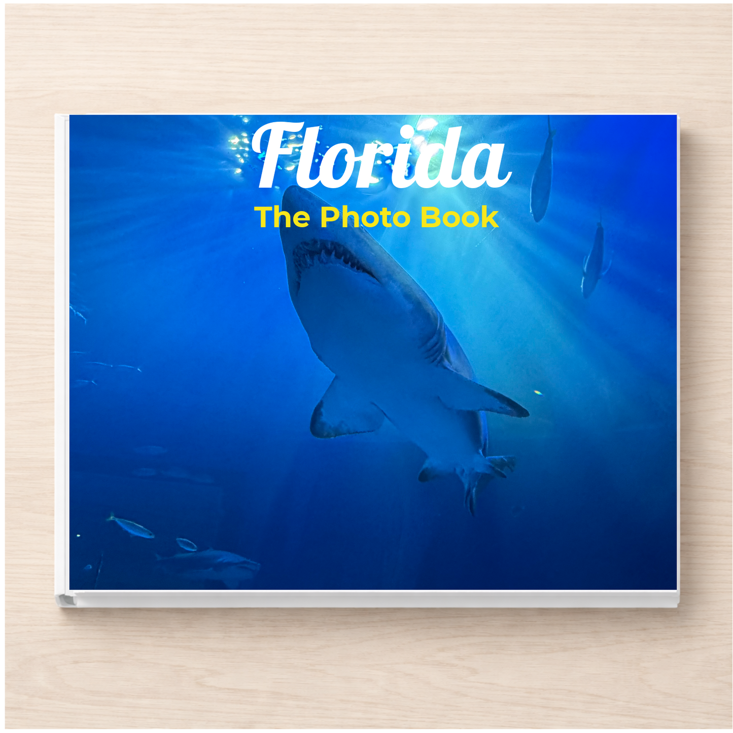 Florida: The Photo Book