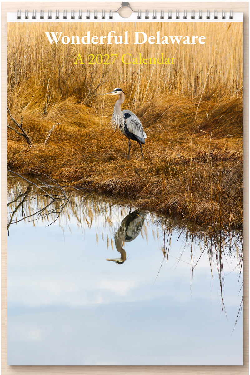 Wonderful Delaware: A 2027 Calendar