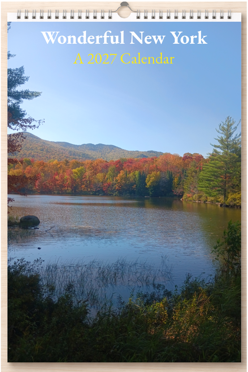 Wonderful New York: A 2027 Calendar