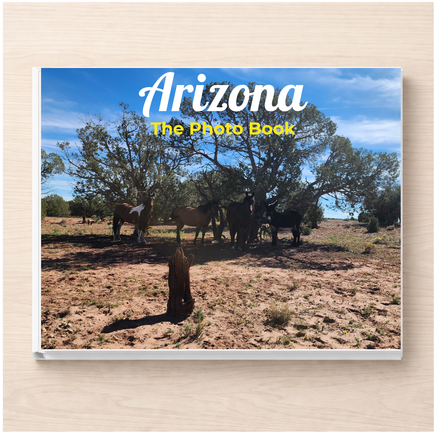 Arizona: The Photo Book