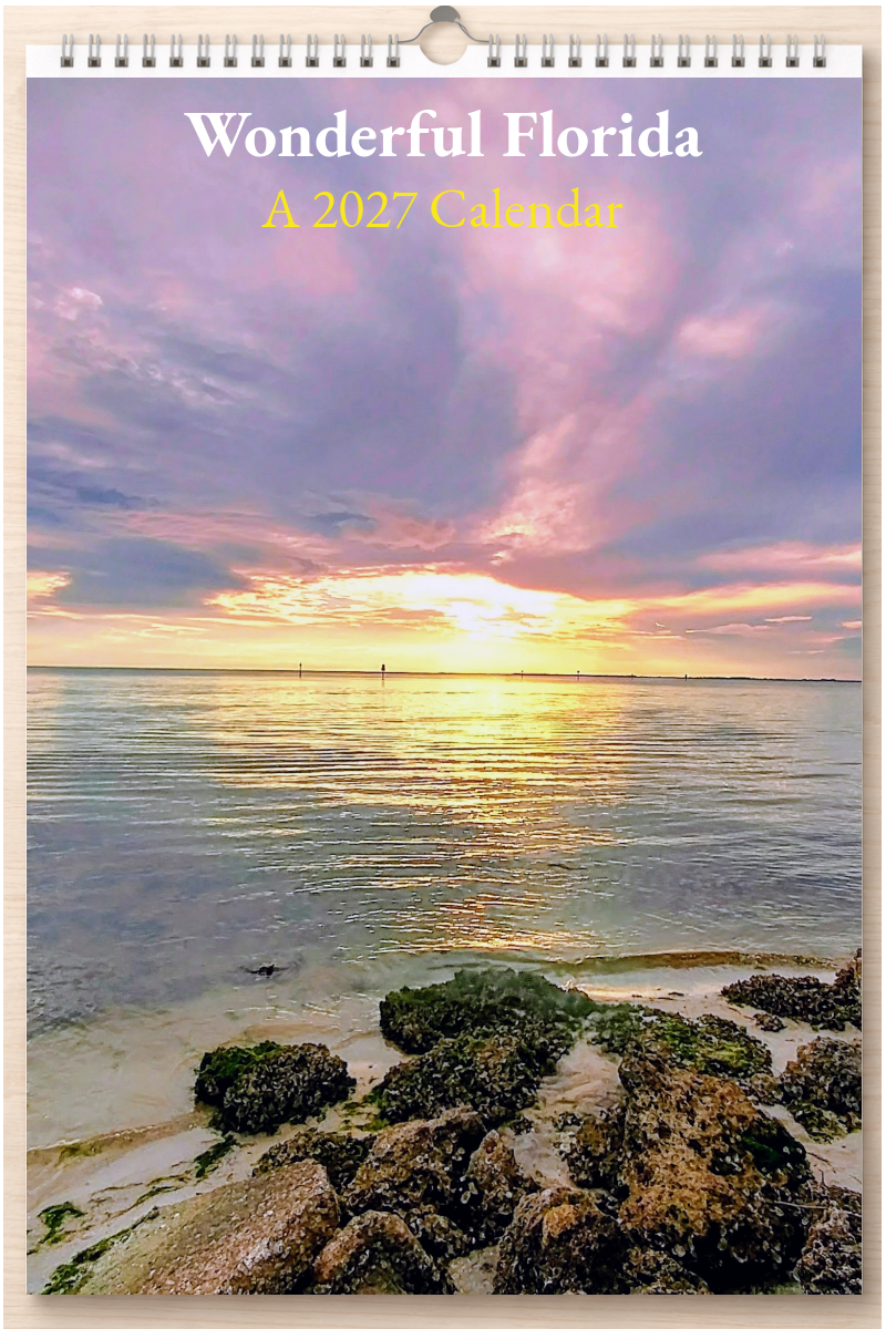 Wonderful Florida: A 2027 Calendar