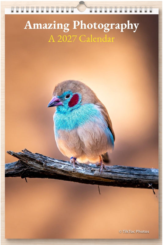 Amazing Photography: A 2027 Calendar