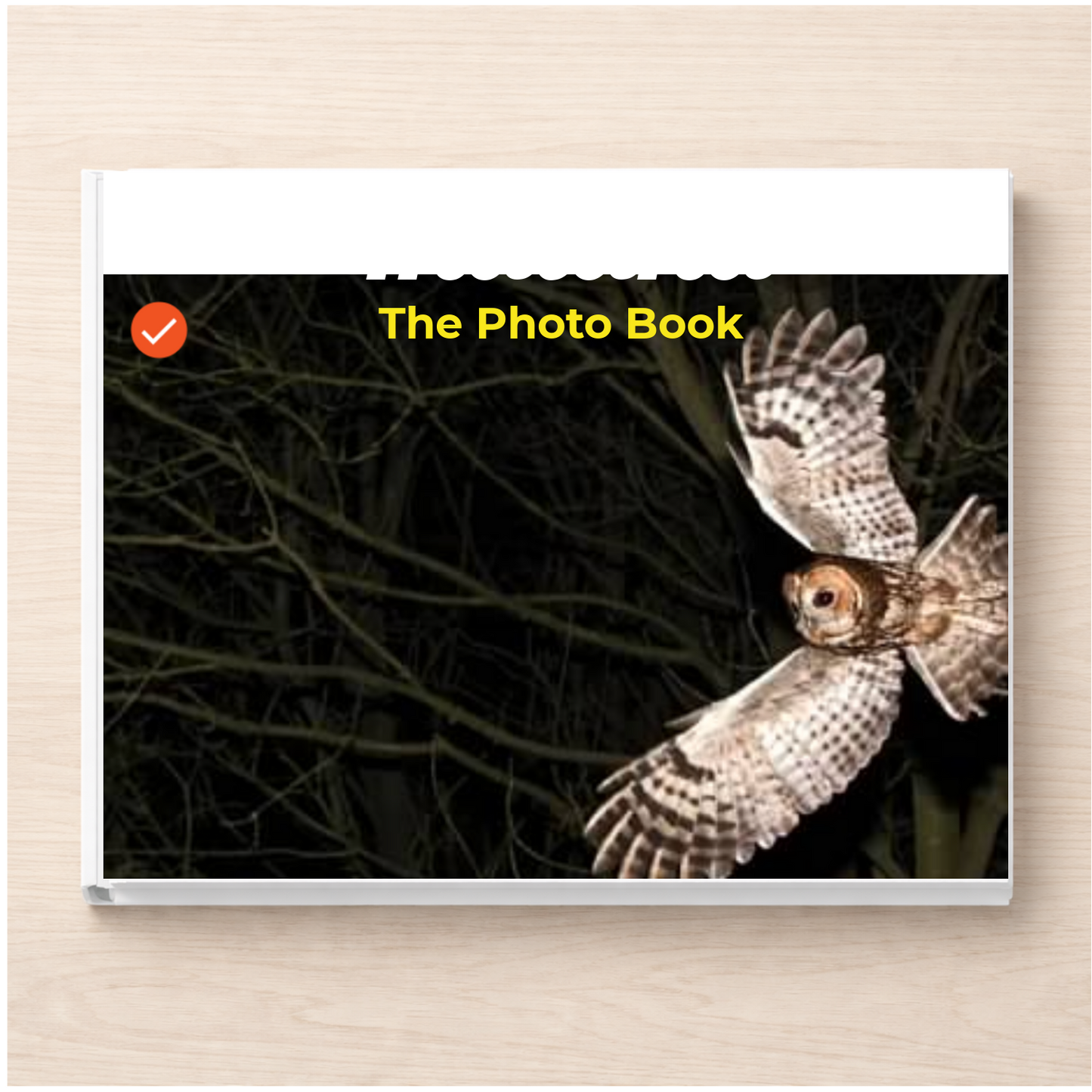 Indiana: The Photo Book