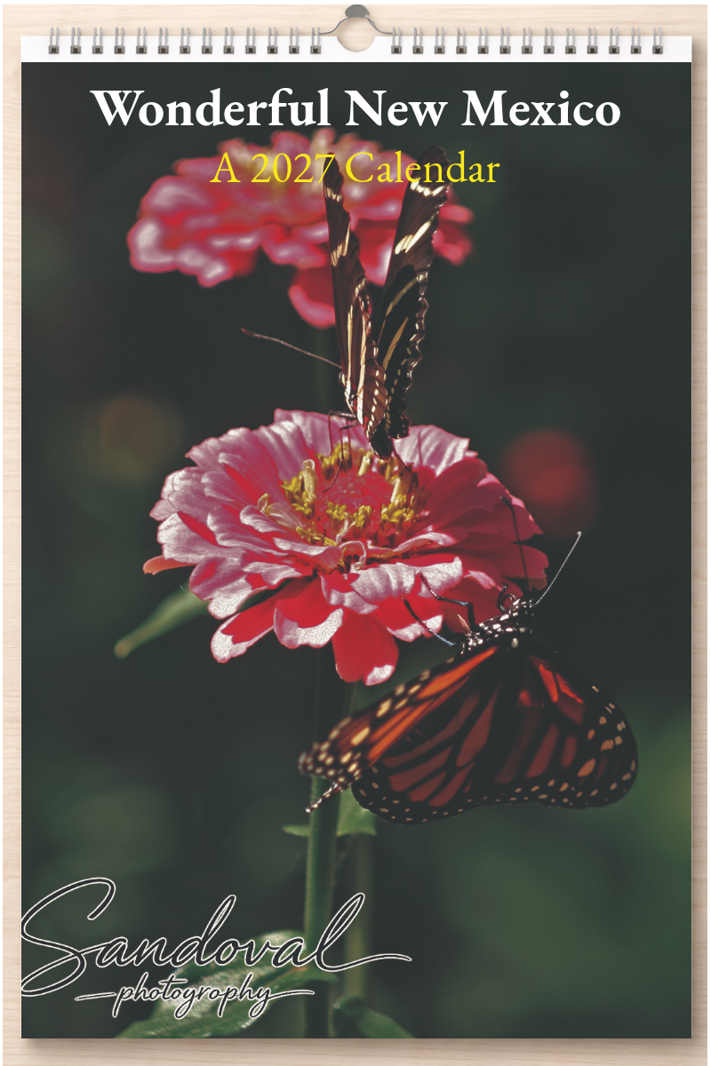 Wonderful New Mexico: A 2027 Calendar