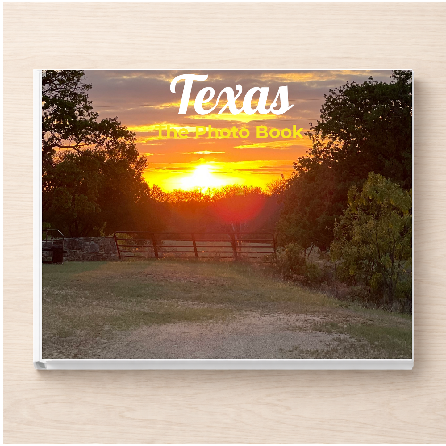 Texas: The Photo Book