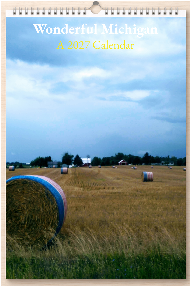 Wonderful Michigan: A 2027 Calendar