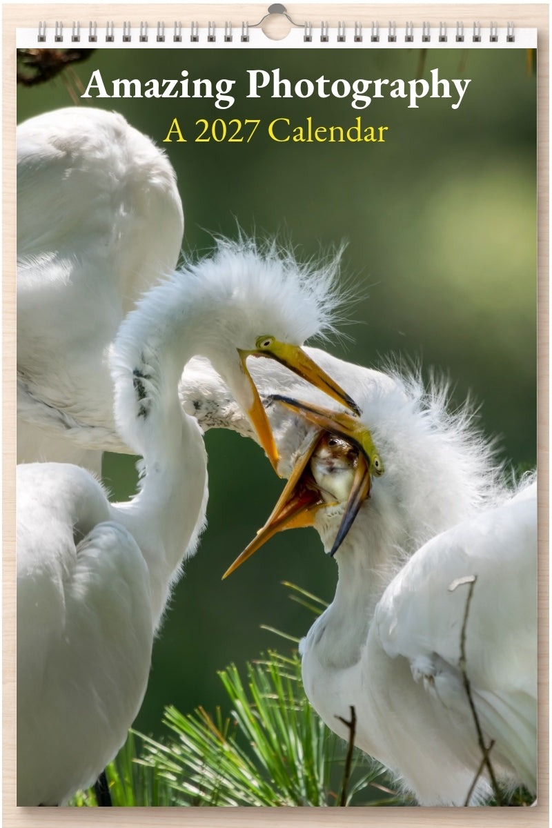Amazing Photography: A 2027 Calendar