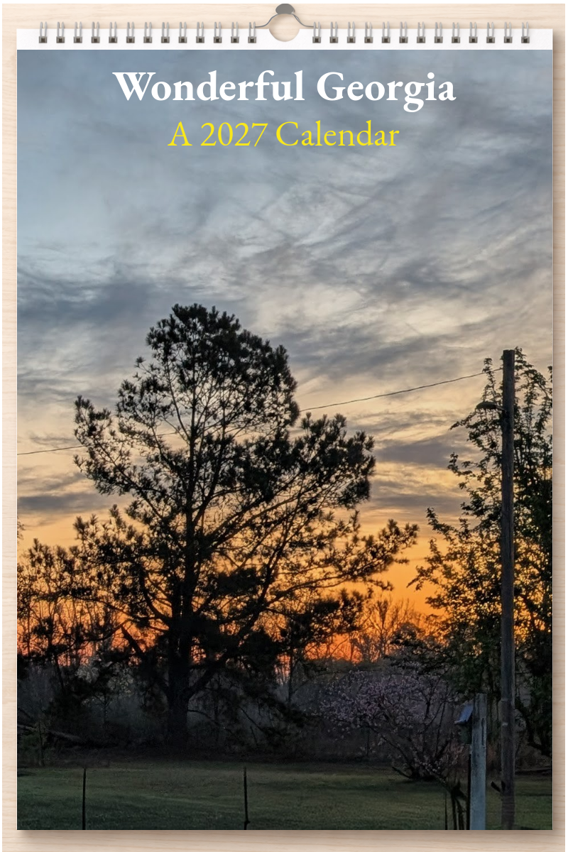 Wonderful Georgia: A 2027 Calendar