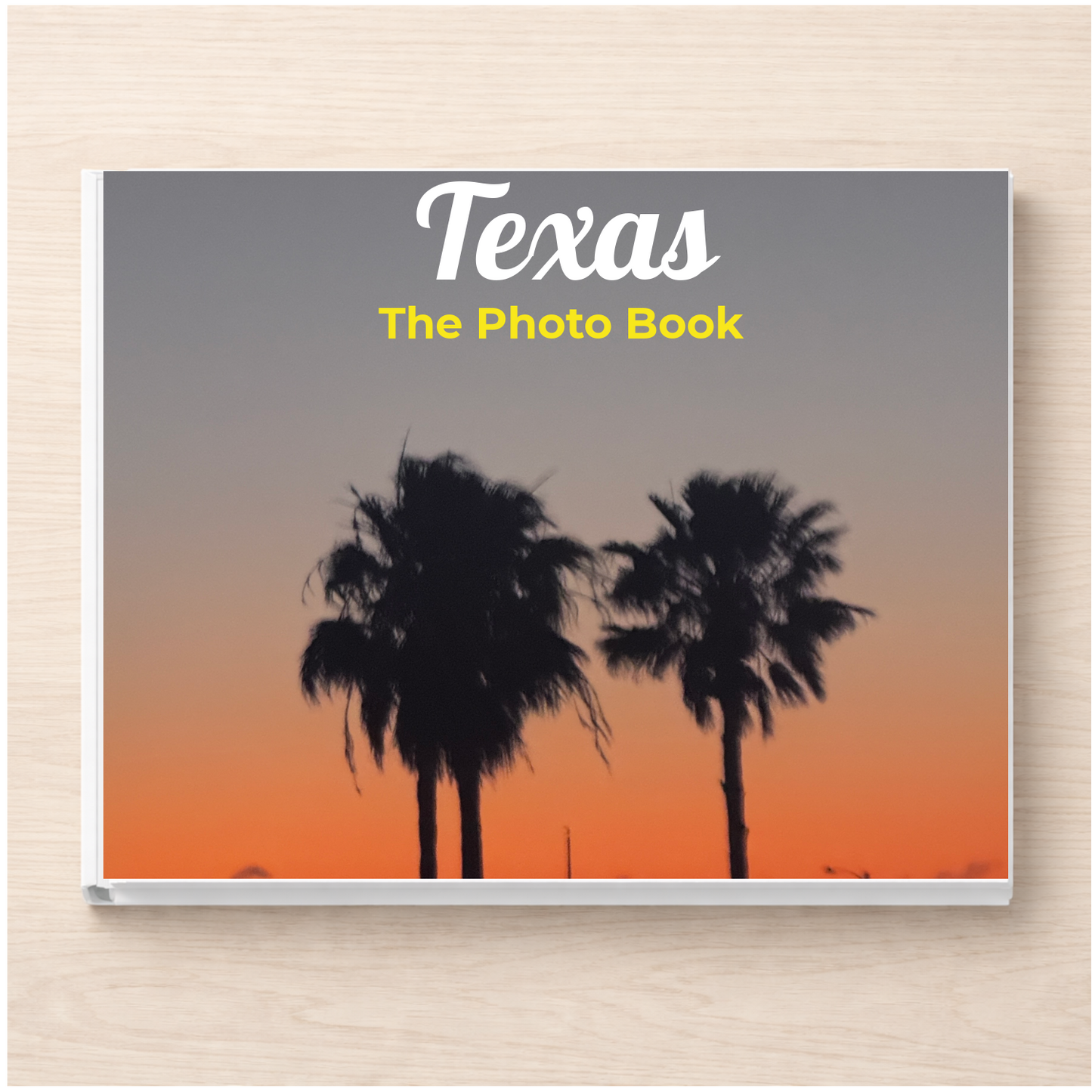 Texas: The Photo Book