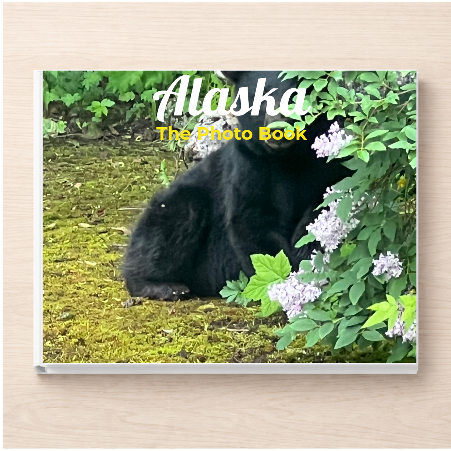 Alaska: The Photo Book