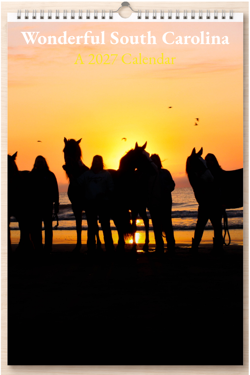 Wonderful South Carolina: A 2027 Calendar