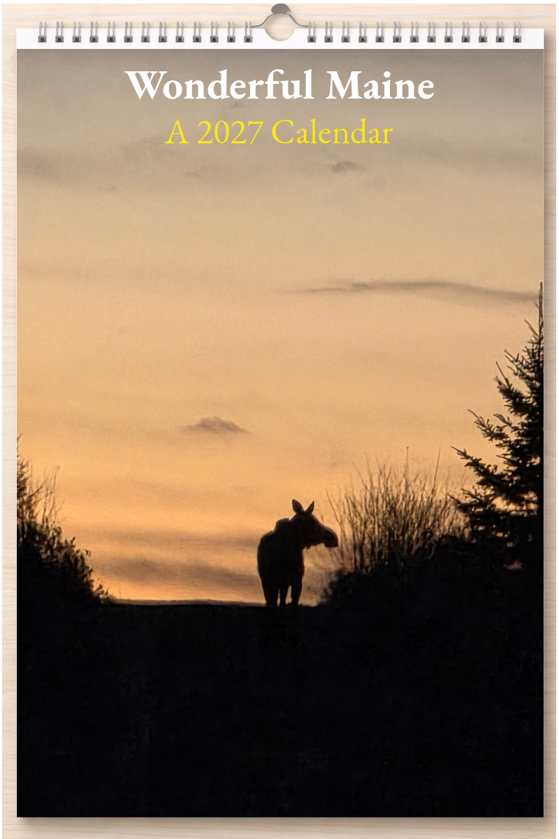 Wonderful Maine: A 2027 Calendar