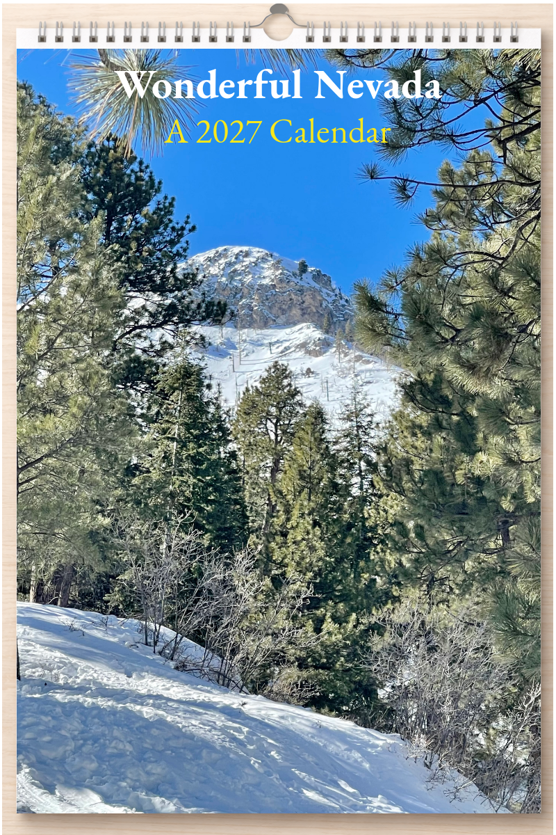Wonderful Nevada: A 2027 Calendar