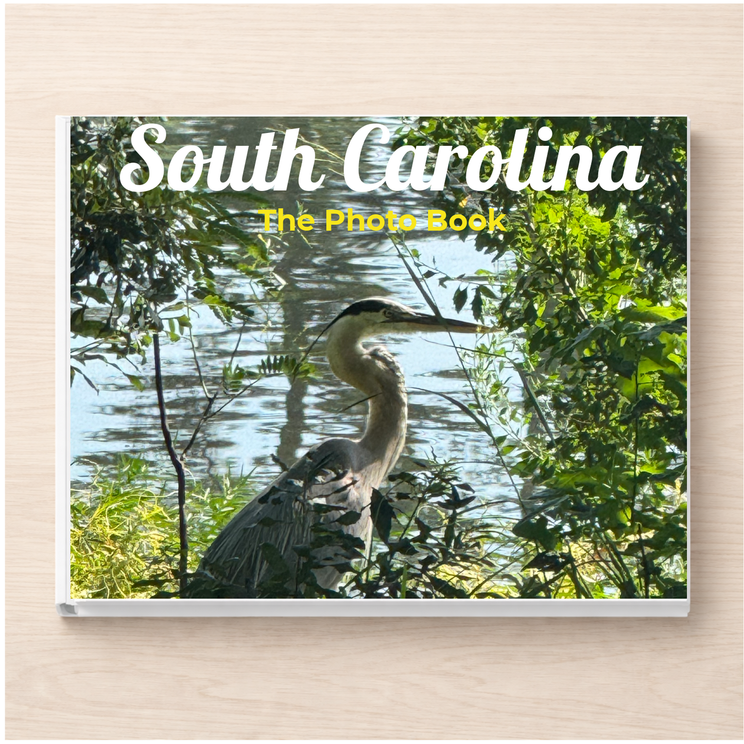 South Carolina: The Photo Book