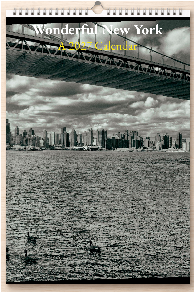 Wonderful New York: A 2027 Calendar