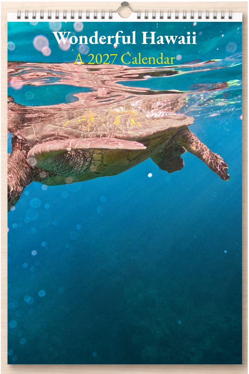 Wonderful Hawaii: A 2027 Calendar