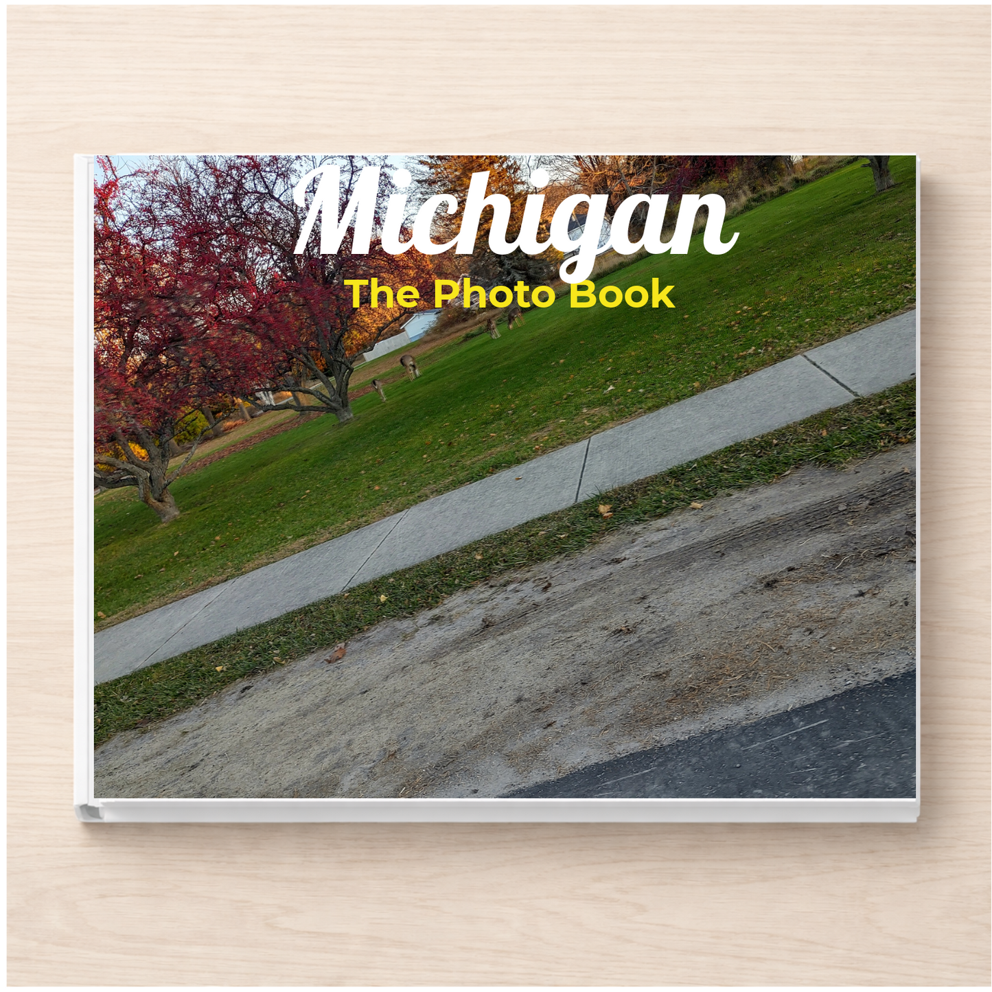 Michigan: The Photo Book