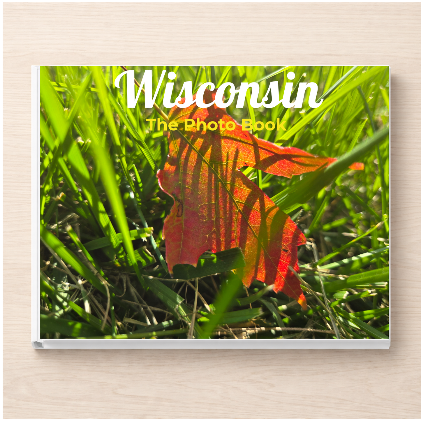 Wisconsin: The Photo Book
