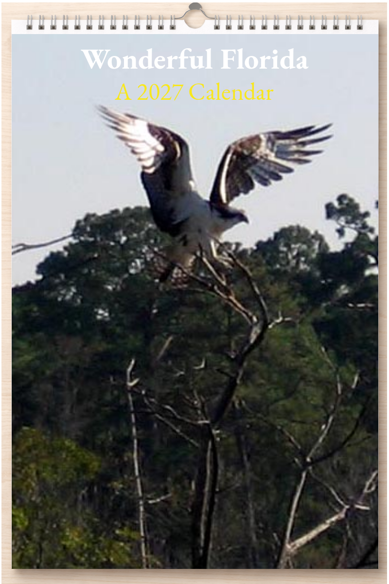 Wonderful Florida: A 2027 Calendar