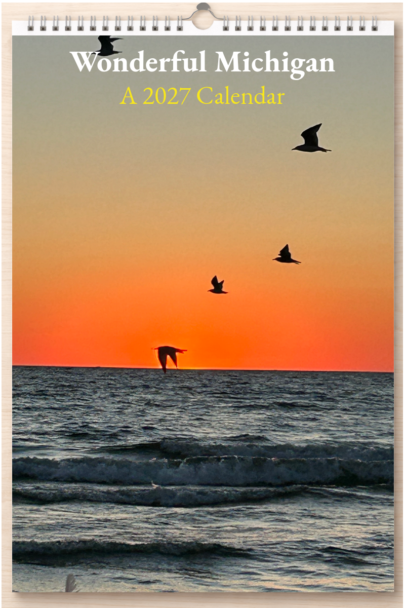 Wonderful Michigan: A 2027 Calendar