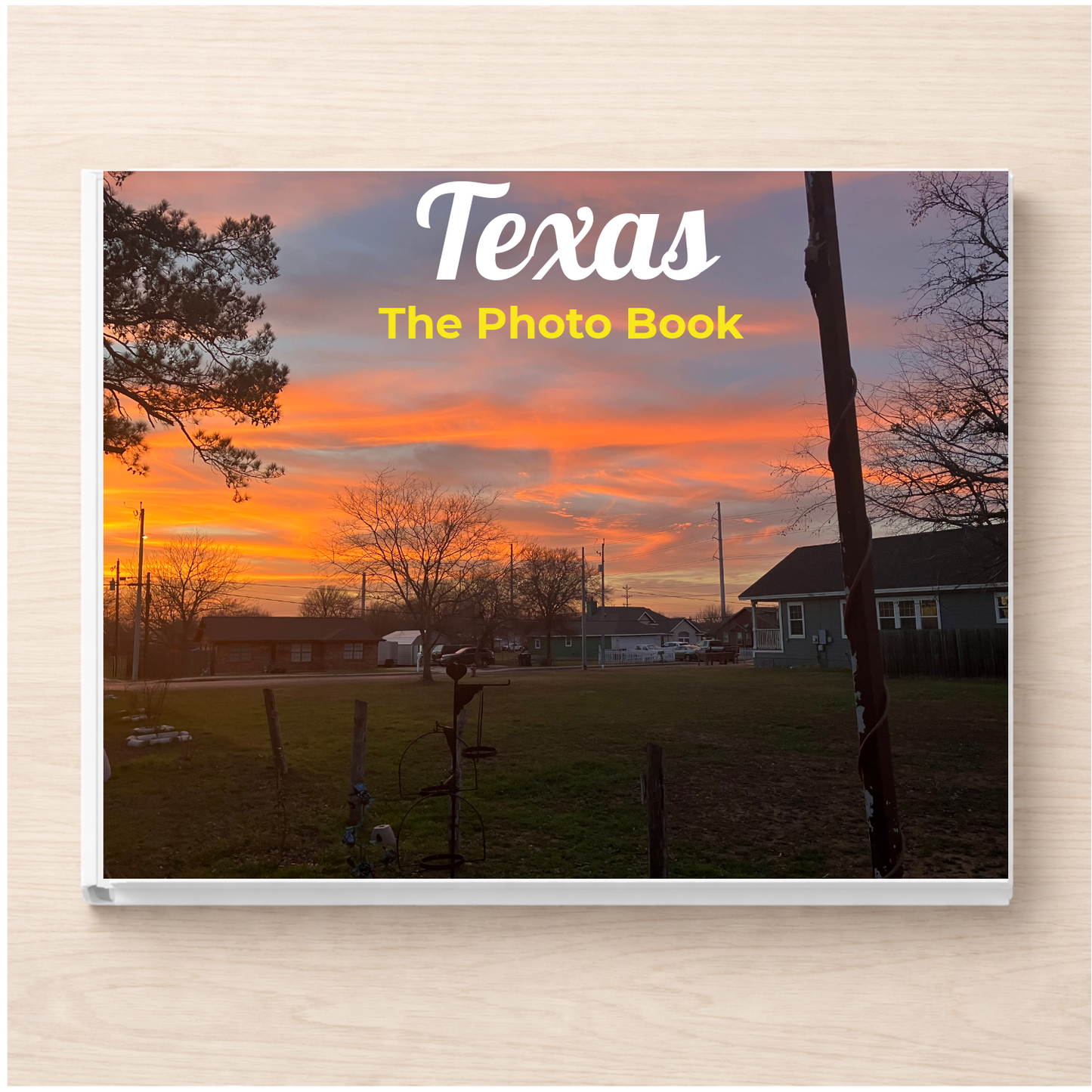 Texas: The Photo Book