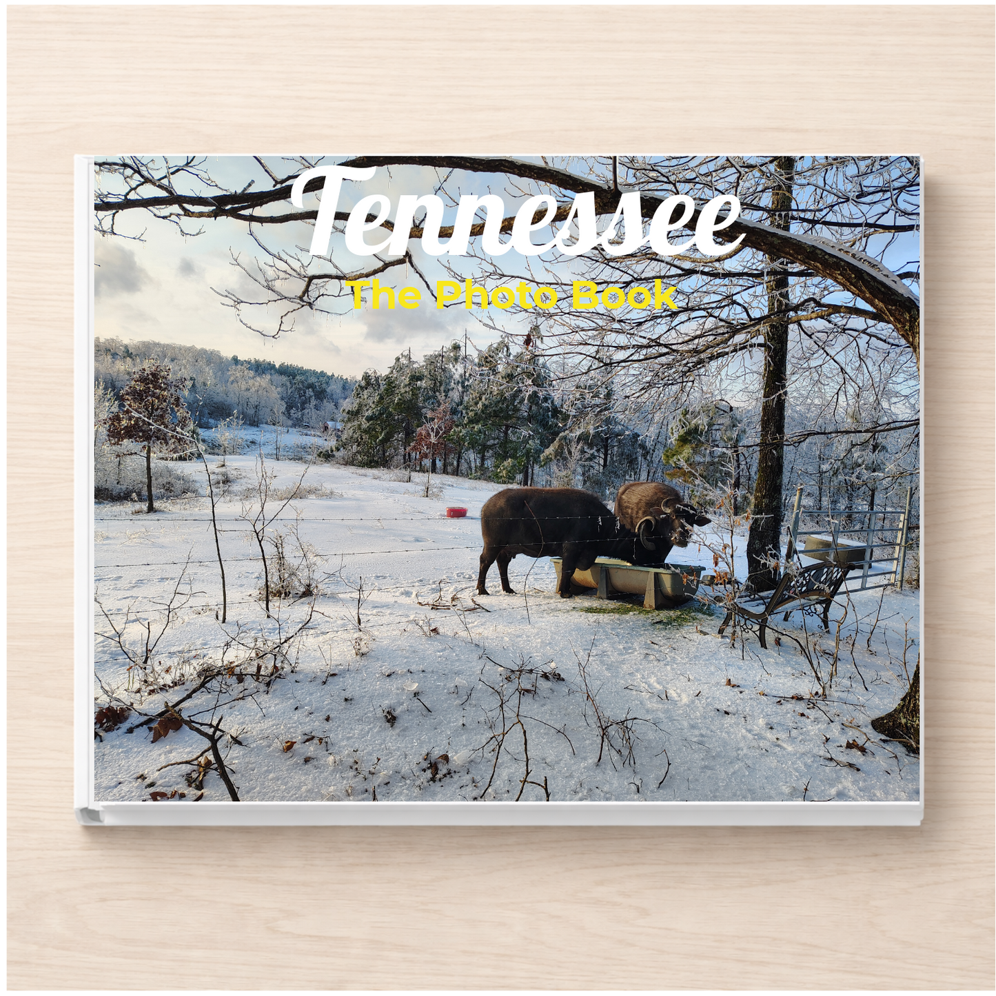 Tennessee: The Photo Book