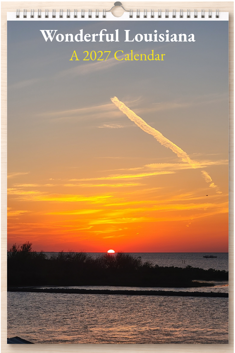 Wonderful Louisiana: A 2027 Calendar